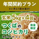 年間契約プラン【2025年新米】【玄米5kg×4回(計20kg)】農家直送つくばの低農薬コシヒカリ「僕は君のコメ」(9月末までの申し込み限定・数量限定)