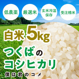 【白米5kg】2025年新米 農家直送つくばの低農薬コシヒカリ「僕は君のコメ」