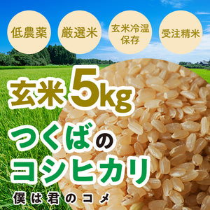 【玄米5kg】2025年新米 農家直送つくばの低農薬コシヒカリ「僕は君のコメ」
