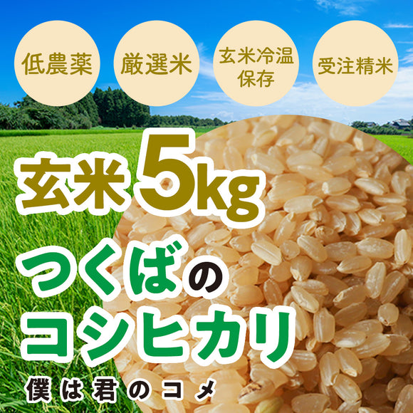 【玄米5kg】2025年新米 農家直送つくばの低農薬コシヒカリ「僕は君のコメ」
