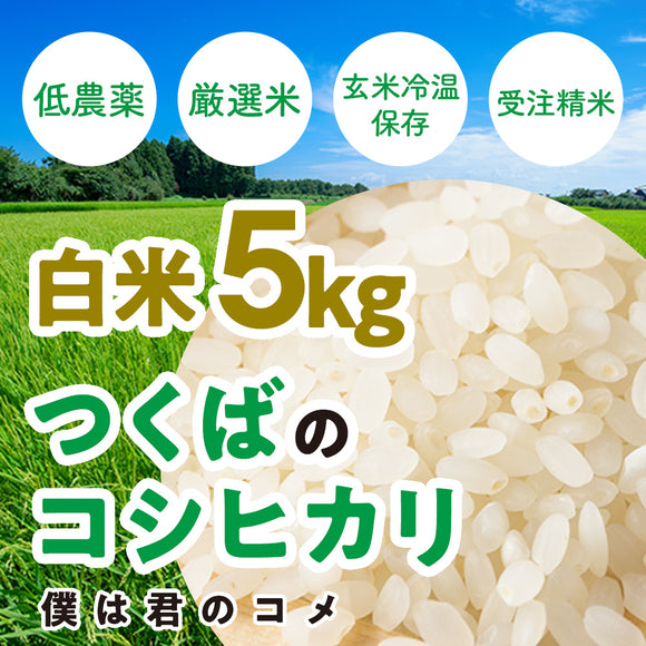 【白米5kg】2025年新米 農家直送つくばの低農薬コシヒカリ「僕は君のコメ」