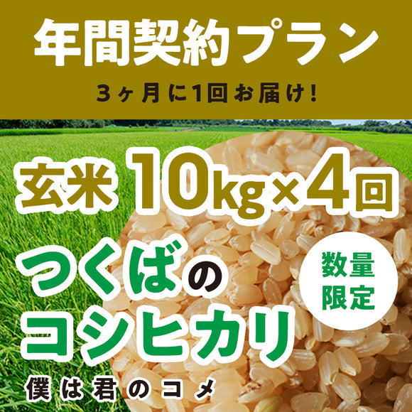 年間契約プラン【2025年新米】【玄米10kg×4回（計40kg）】農家直送つくばの低農薬コシヒカリ「僕は君のコメ」（9月末までの申し込み限定・数量限定）