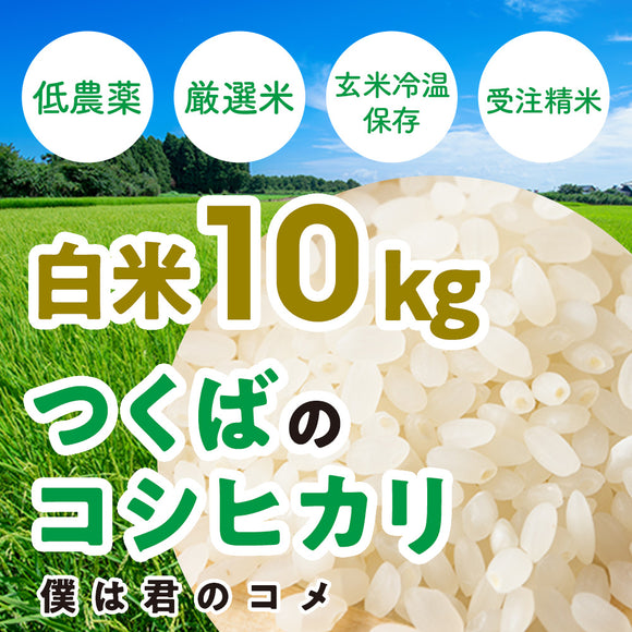 【白米10kg】2025年新米 農家直送つくばの低農薬コシヒカリ「僕は君のコメ」