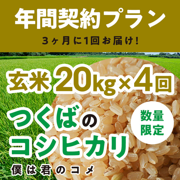 年間契約プラン【2025年新米】【玄米20kg×4回（計80kg）】農家直送つくばの低農薬コシヒカリ「僕は君のコメ」（9月末までの申し込み限定・数量限定）