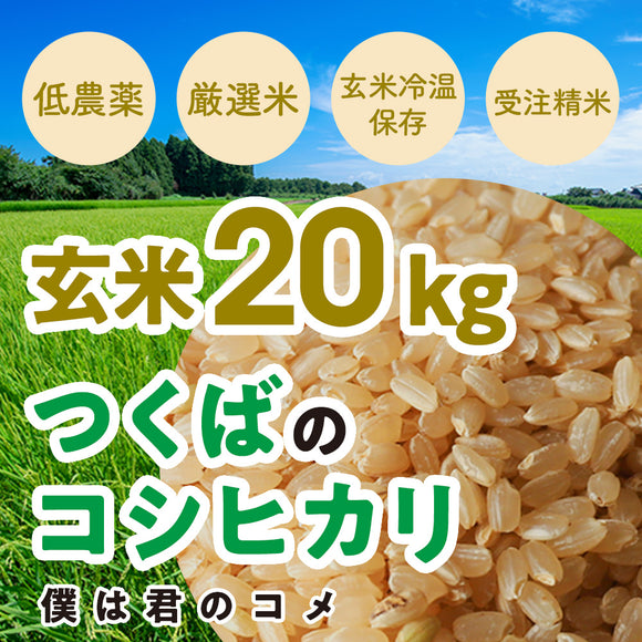 【玄米20kg】2025年新米 農家直送つくばの低農薬コシヒカリ「僕は君のコメ」