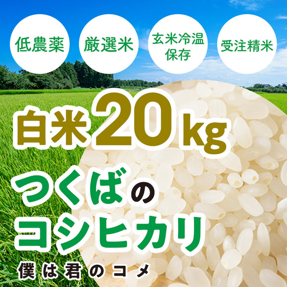 【白米20kg】2025年新米 農家直送つくばの低農薬コシヒカリ「僕は君のコメ」