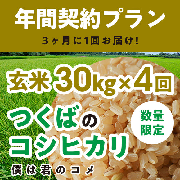 年間契約プラン【2025年新米】【玄米30kg×4回（計120kg）】農家直送つくばの低農薬コシヒカリ「僕は君のコメ」（9月末までの申し込み限定・数量限定）