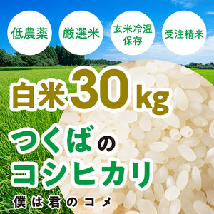 【白米30kg】2025年新米 農家直送つくばの低農薬コシヒカリ「僕は君のコメ」