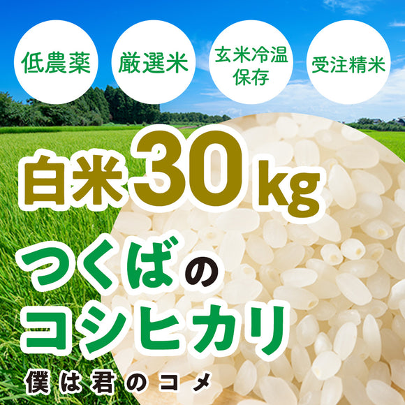 【白米30kg】2025年新米 農家直送つくばの低農薬コシヒカリ「僕は君のコメ」